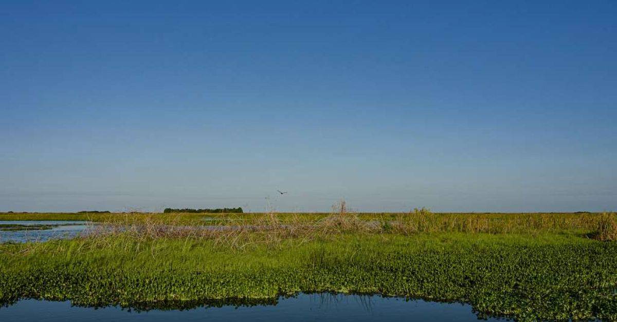 Lake Okeechobee